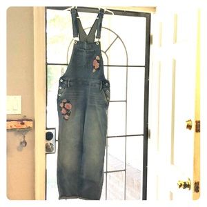 Torrid Crop Overalls, Vintage Stretch Medium Wash